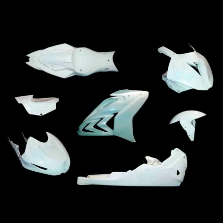 Carenado completo EVO BMW S 1000 RR 2015-2018