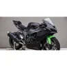 Komplette Verkleidung KAWASAKI ZX-R 636 2024