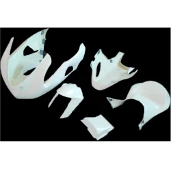 Komplette Verkleidung KAWASAKI ZX-6R 2005-2006