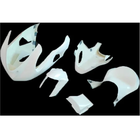 Komplette Verkleidung KAWASAKI ZX-6R 2005-2006