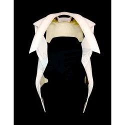 FRONTAL YAMAHA YZF-R1 / R1M 2020- 2