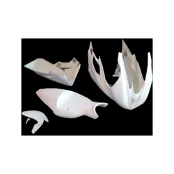 Carenado completo TRIUMPH DAYTONA 675 2013-2015