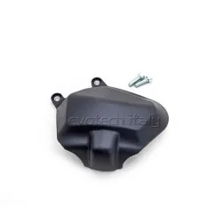 EVOTECH Schwingenprotektoren für Triumph Speed ​​Triple RS 1200 2021-2024