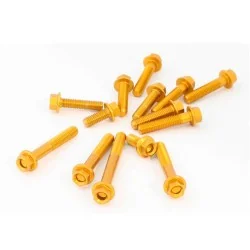 Kit tornillo rapido con anillo M6x12mm grapa de clip 2