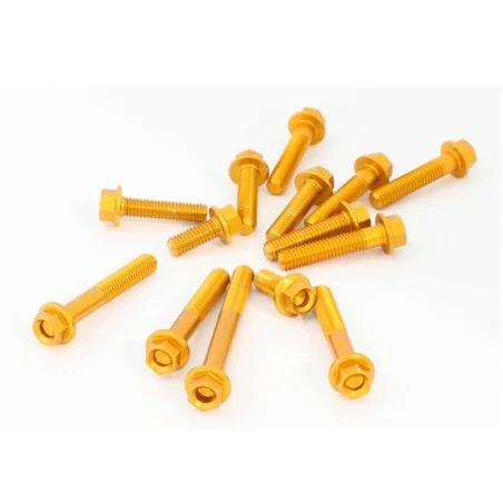 Kit tornillo rapido con anillo M6x12mm grapa de clip