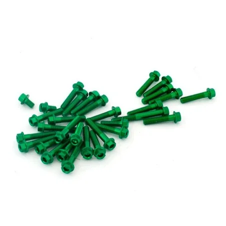 Kit tornillo rapido con anillo M6x12mm grapa de clip