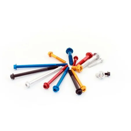 Kit tornillo rapido con anillo M6x12mm grapa de clip