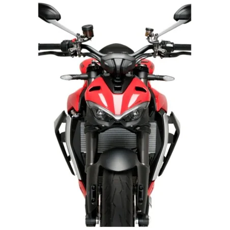 Downforce-Seitenspoiler PUIG DUCATI STREETFIGHTER V2 22-24