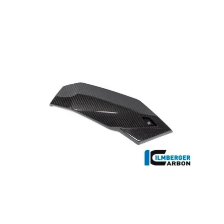 Cubierta del asiento del pasajero BMW S 1000 R a partir de 2021 / M 1000 R a partir de 2023