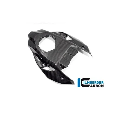 ILMBERGER CARBON HECKSCHUTZ für BMW S 1000 R 2021-2025