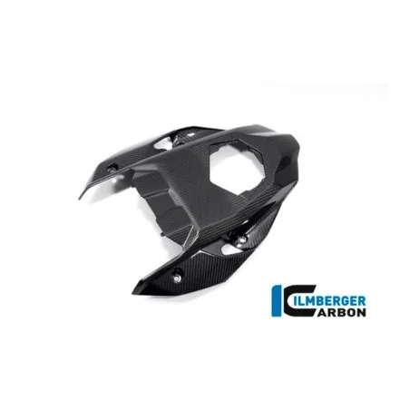 ILMBERGER CARBON HECKSCHUTZ für BMW S 1000 R 2021-2025