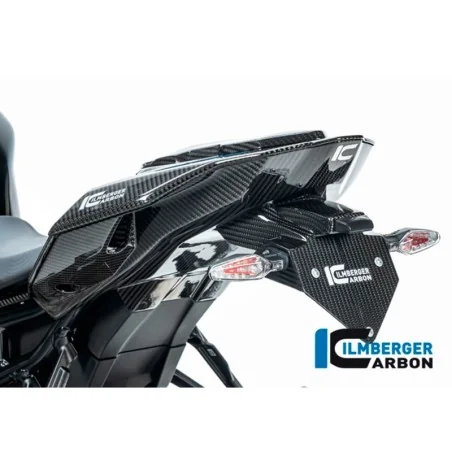 PROTECTOR TRASERO DE CARBONO ILMBERGER para BMW S 1000 R 2021-2025