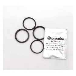 Dichtungs- und Staubschutzset