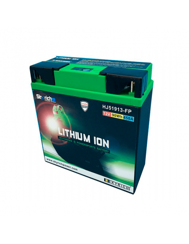 Lithium- Skyrich Lithium-Batterie LI51913