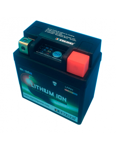 Bateria de litio Skyrich LFP01