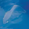 Cúpula Transparente doble burbuja CBR 600RR 03-04