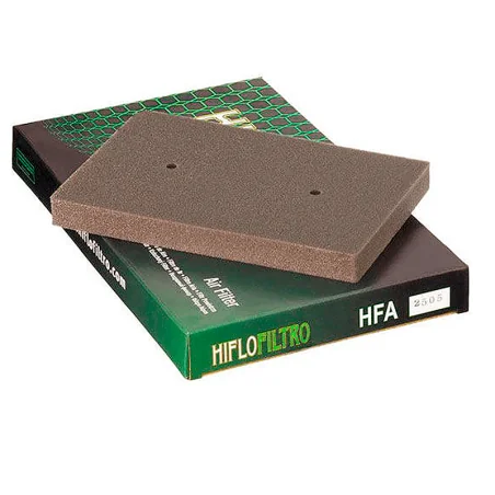 Filtro de Aire Hiflofiltro HFA2505
