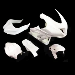 Verkleidung der Kawasaki-Rennstrecke ZX10 2016-2019