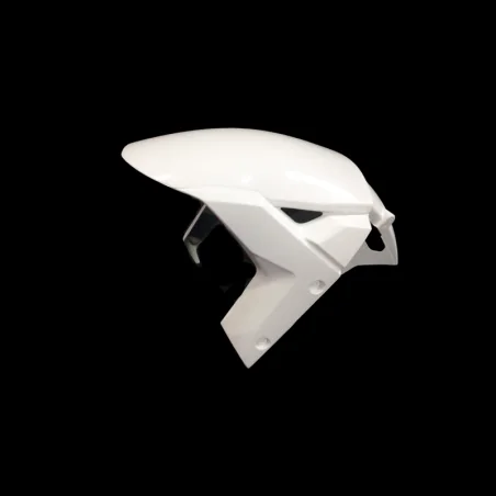 Carenado de Circuito Kawasaki ZX10 2016-2019