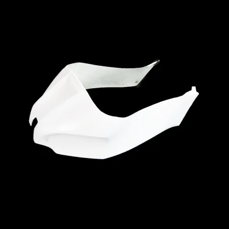 Verkleidung der Kawasaki-Rennstrecke ZX10 2016-2019