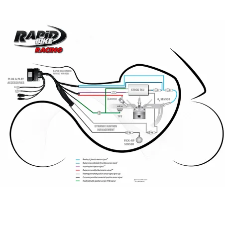 Centralita RAPID BIKE EVO 8 Inyectores